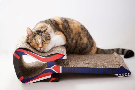 The Psychology of Cat Scratching in the USA: Training Tips to Save Your Furniture