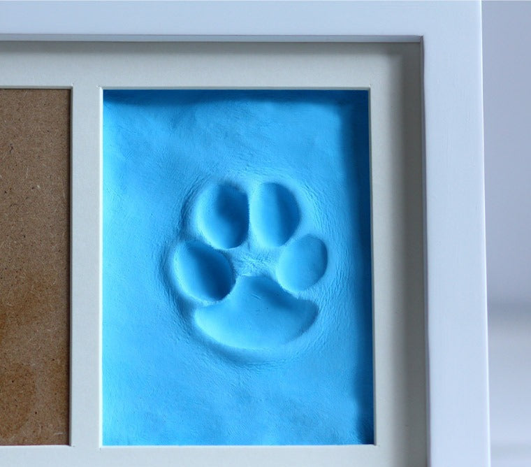 Pet Paw Print Dog Cat Footprint DIY Memorial Kit